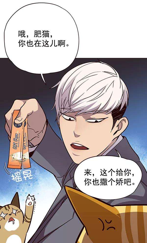 觉醒吧，铲屎官！38话