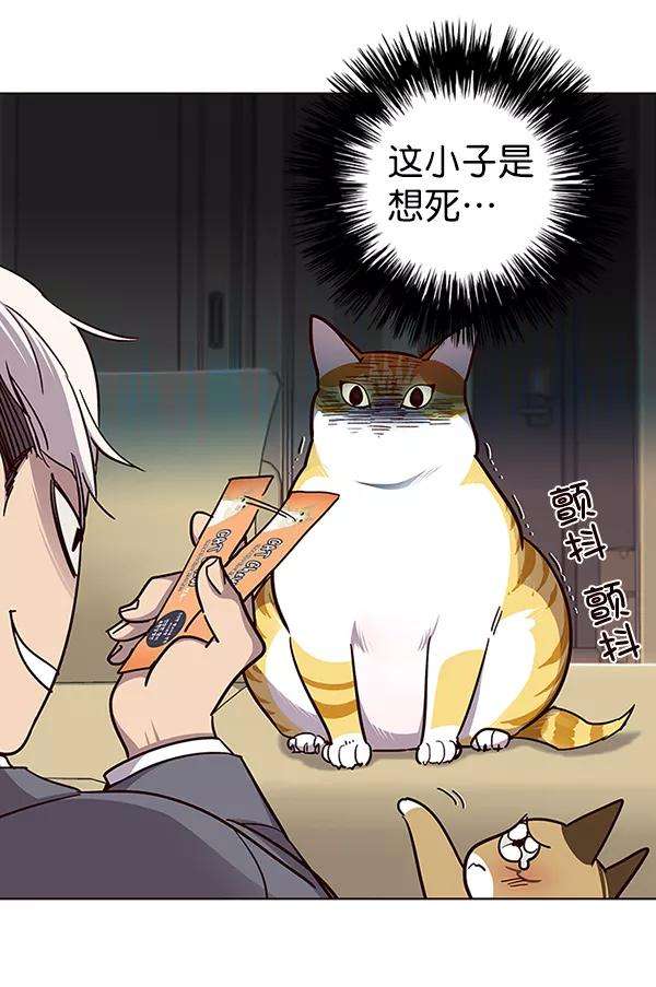 觉醒吧，铲屎官！38话