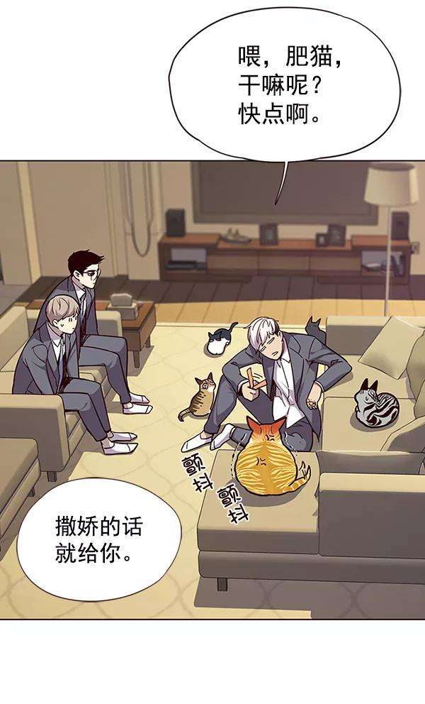 觉醒吧，铲屎官！38话