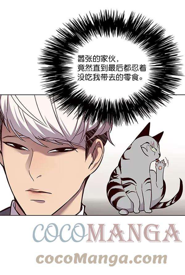 觉醒吧，铲屎官！39话