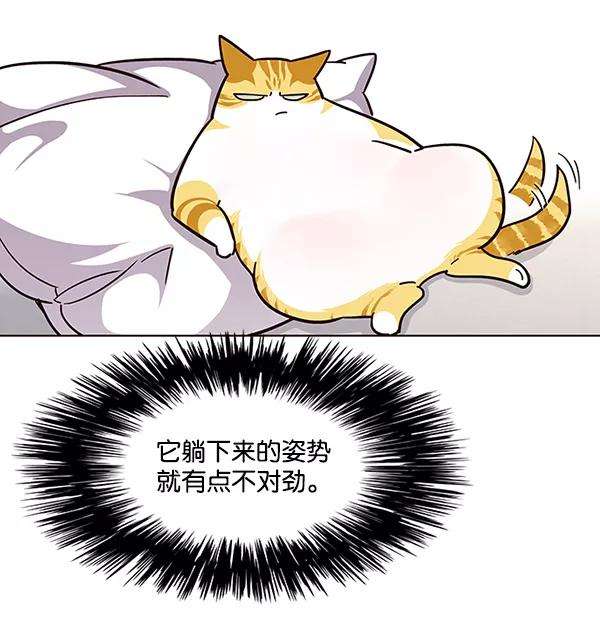 觉醒吧，铲屎官！39话