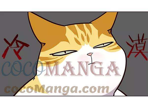 觉醒吧，铲屎官！39话