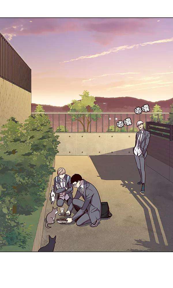 觉醒吧，铲屎官！39话