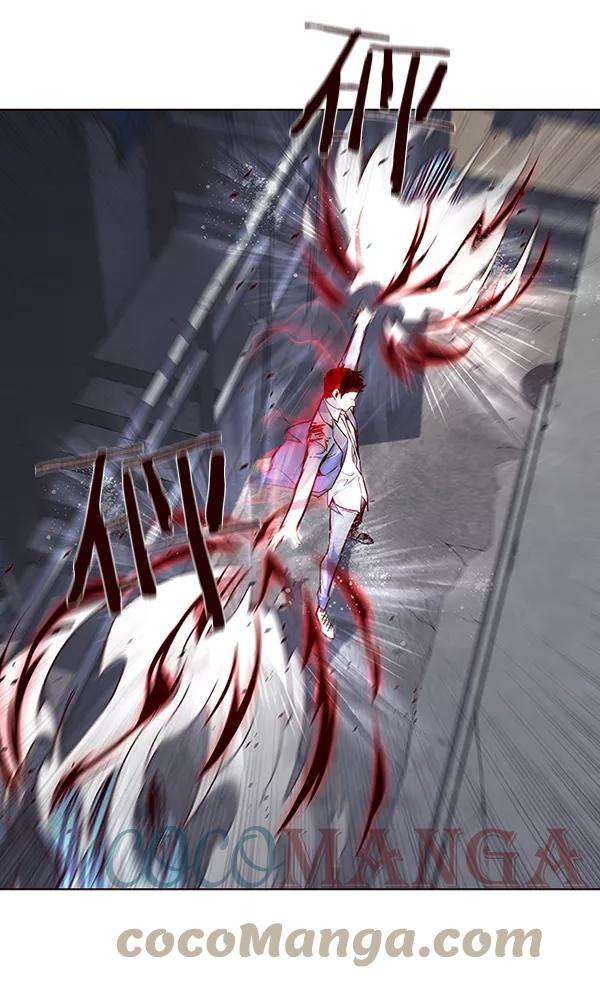 觉醒吧，铲屎官！40话