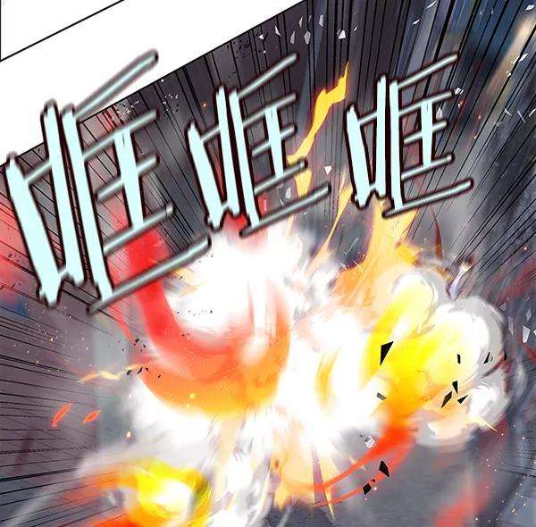 觉醒吧，铲屎官！40话