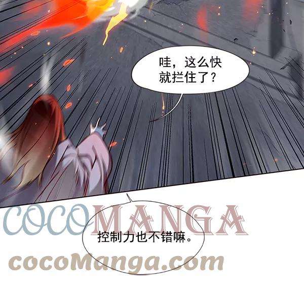 觉醒吧，铲屎官！40话