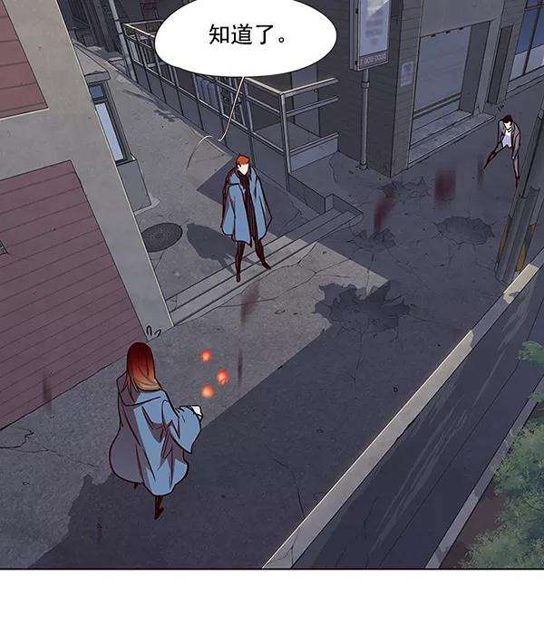 觉醒吧，铲屎官！40话