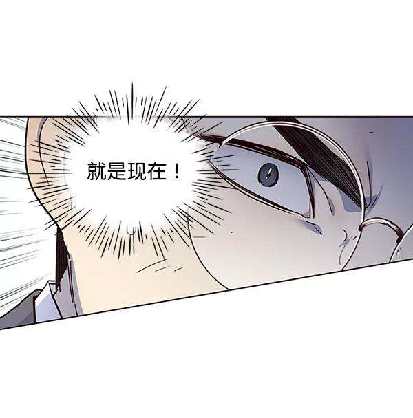 觉醒吧，铲屎官！40话