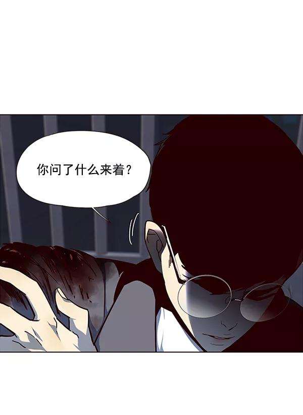 觉醒吧，铲屎官！40话