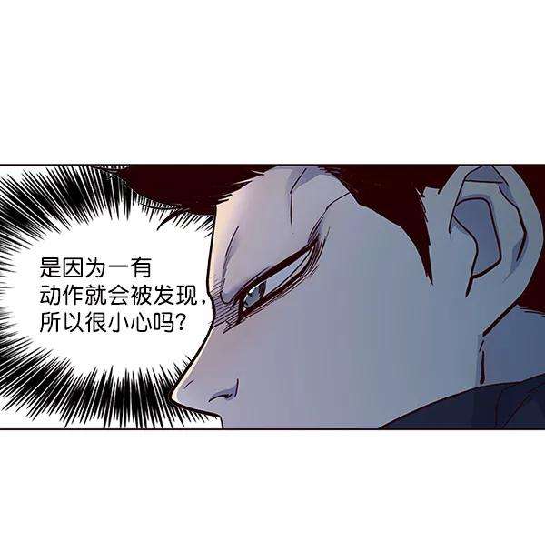 觉醒吧，铲屎官！40话