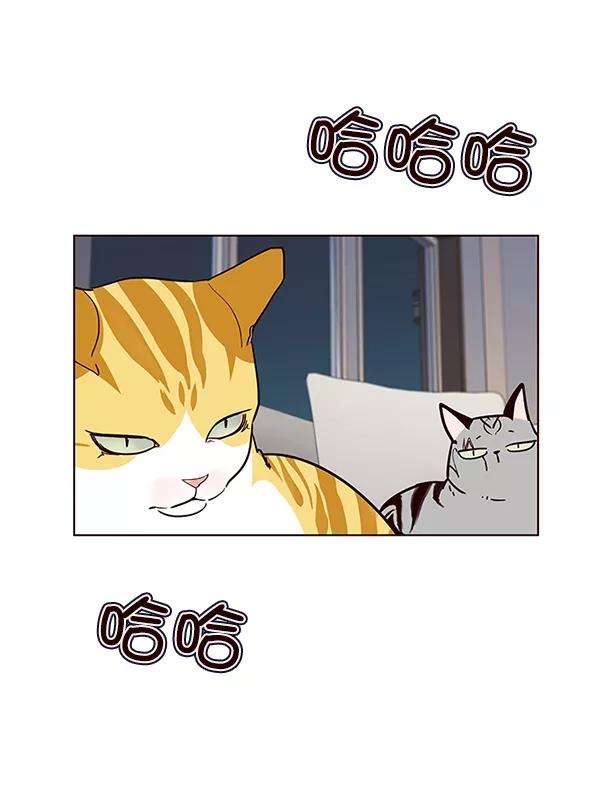 觉醒吧，铲屎官！40话