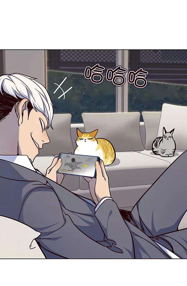 觉醒吧，铲屎官！40话