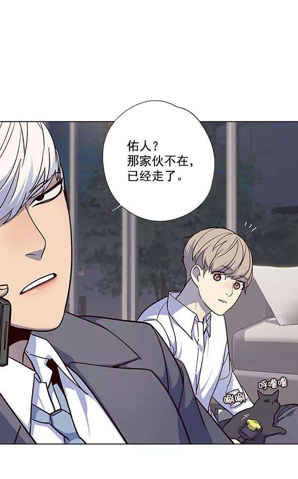 觉醒吧，铲屎官！40话