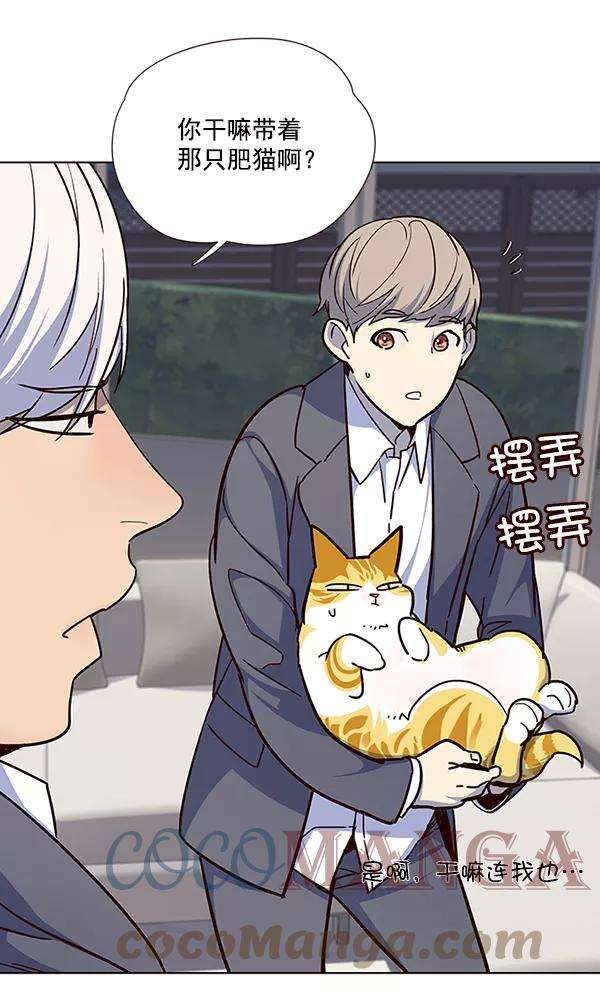 觉醒吧，铲屎官！40话