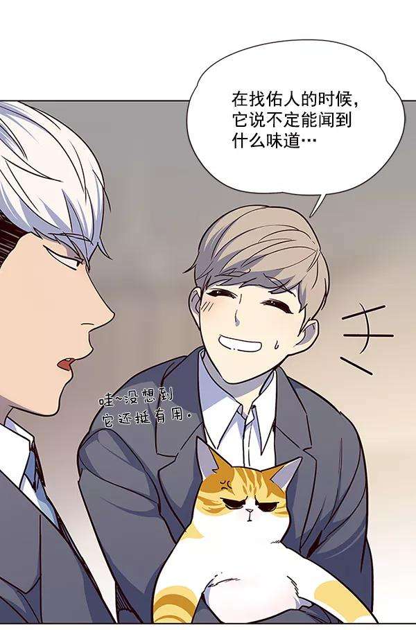 觉醒吧，铲屎官！40话