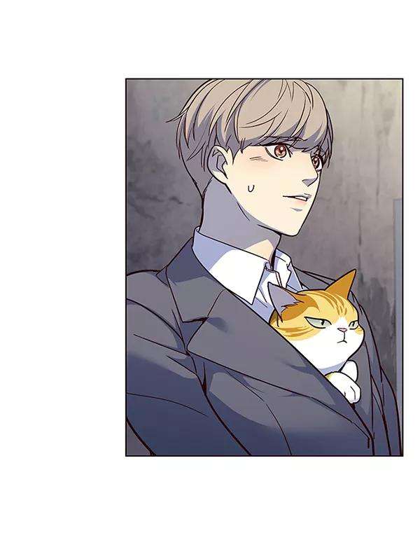 觉醒吧，铲屎官！41话