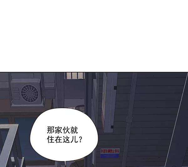 觉醒吧，铲屎官！41话