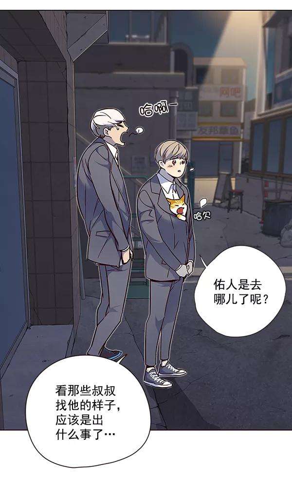 觉醒吧，铲屎官！41话