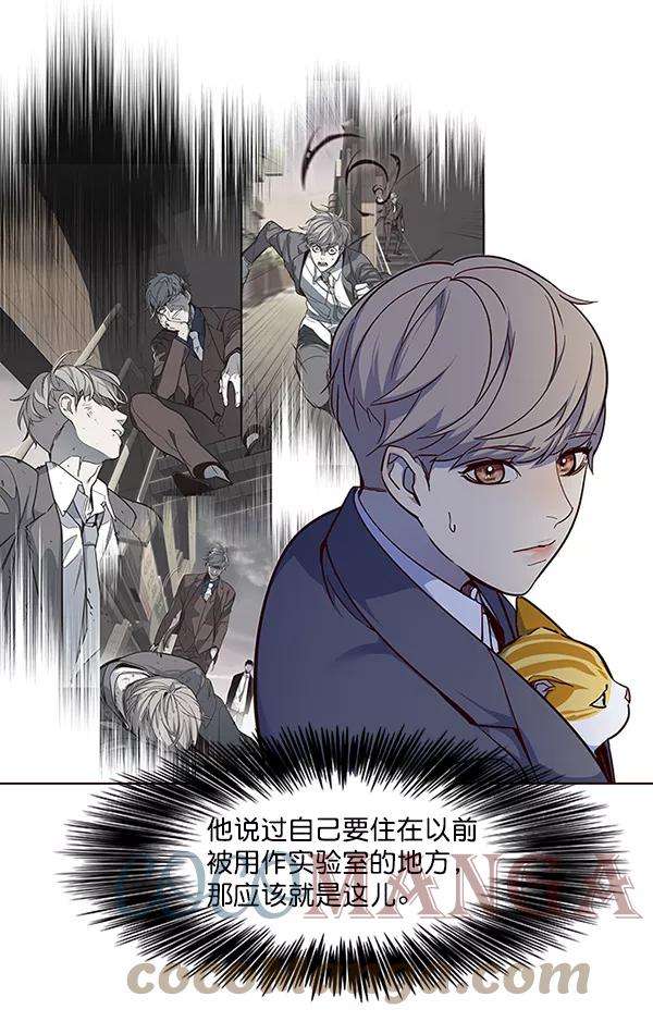 觉醒吧，铲屎官！41话