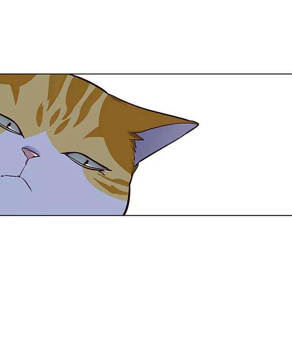 觉醒吧，铲屎官！41话