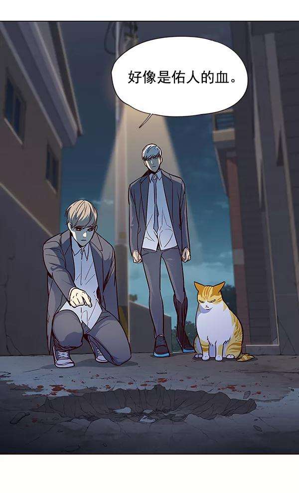 觉醒吧，铲屎官！41话