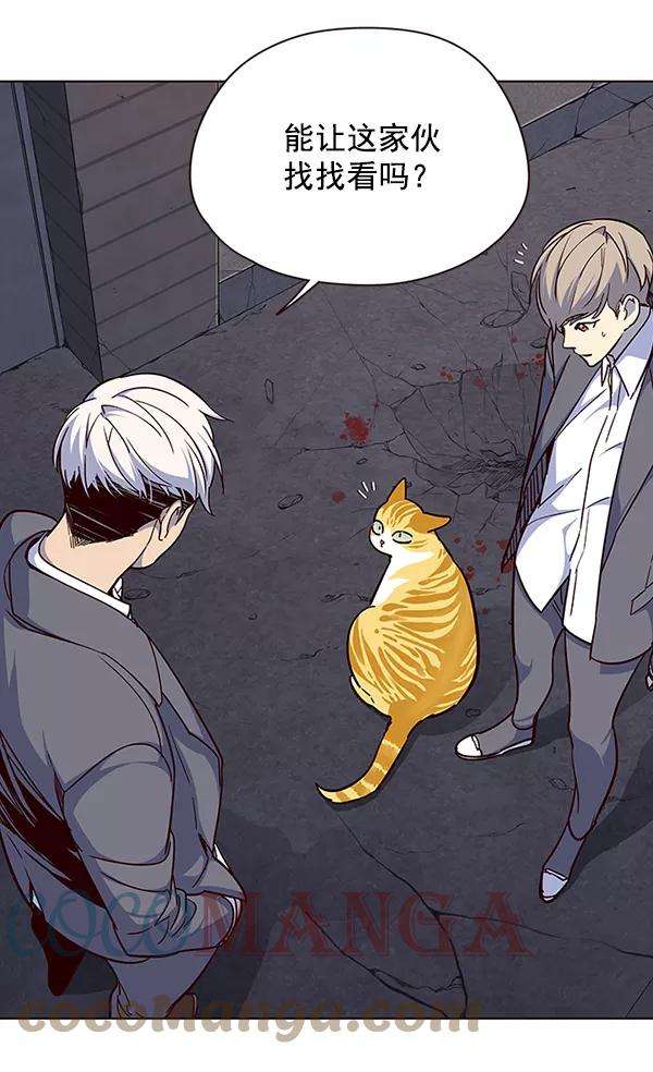 觉醒吧，铲屎官！41话