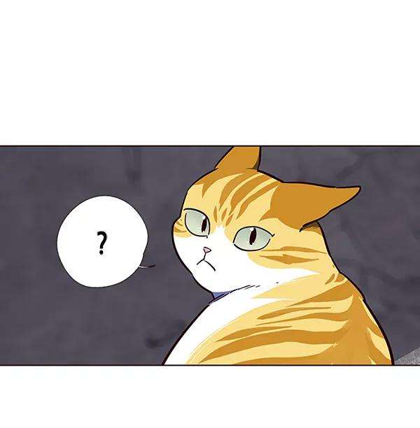 觉醒吧，铲屎官！41话