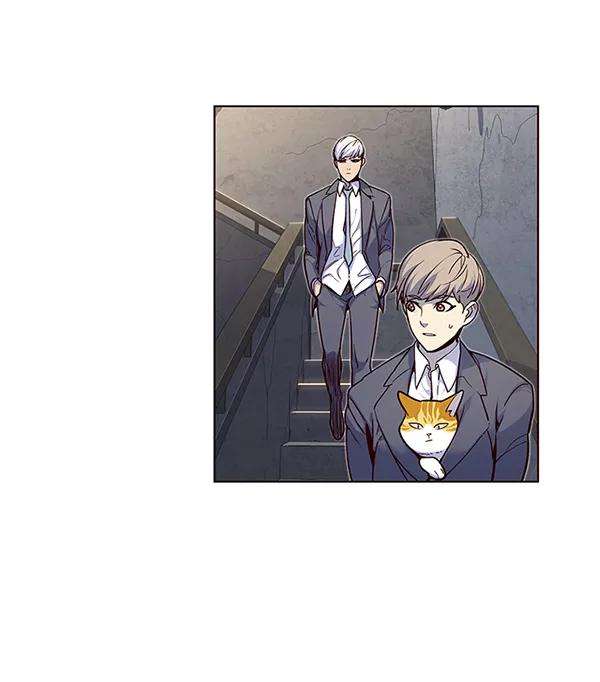 觉醒吧，铲屎官！41话