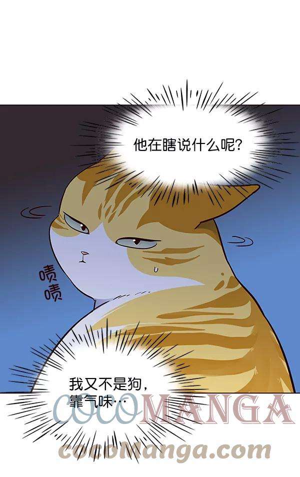 觉醒吧，铲屎官！41话