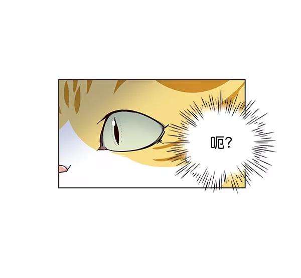 觉醒吧，铲屎官！41话