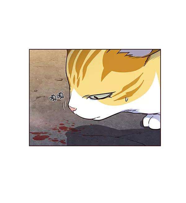 觉醒吧，铲屎官！41话