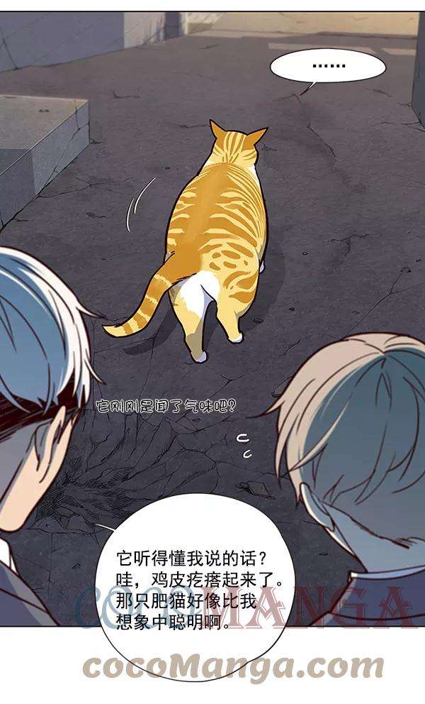 觉醒吧，铲屎官！41话