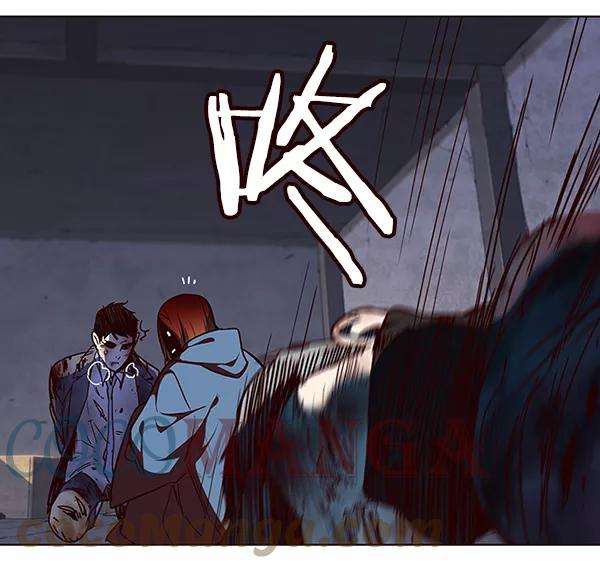 觉醒吧，铲屎官！41话