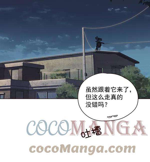 觉醒吧，铲屎官！41话