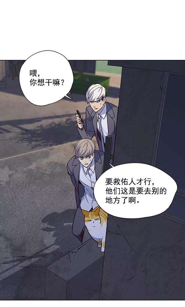 觉醒吧，铲屎官！41话