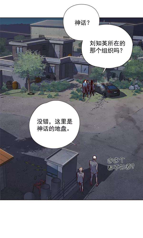 觉醒吧，铲屎官！42话