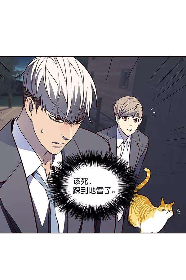 觉醒吧，铲屎官！42话