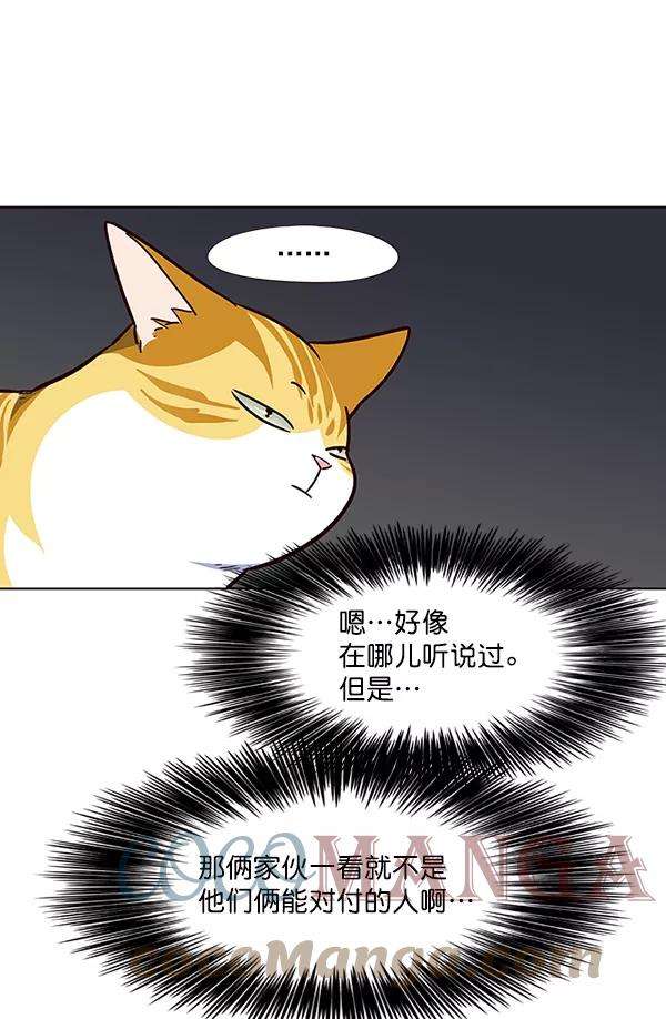 觉醒吧，铲屎官！42话