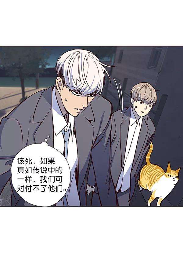 觉醒吧，铲屎官！42话