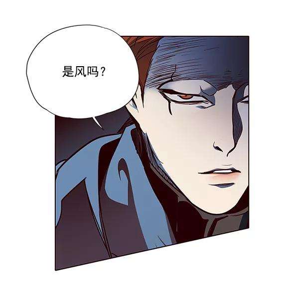 觉醒吧，铲屎官！42话