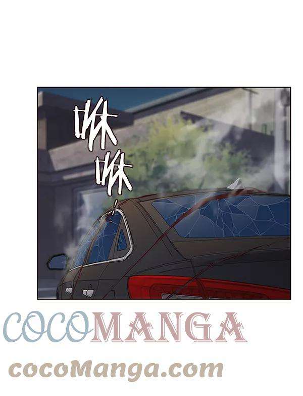 觉醒吧，铲屎官！42话