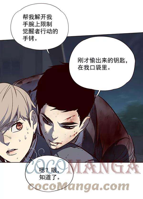 觉醒吧，铲屎官！42话