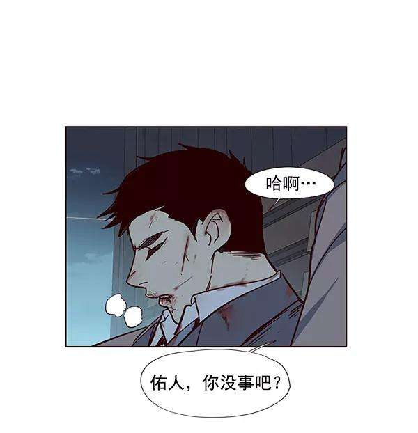 觉醒吧，铲屎官！42话