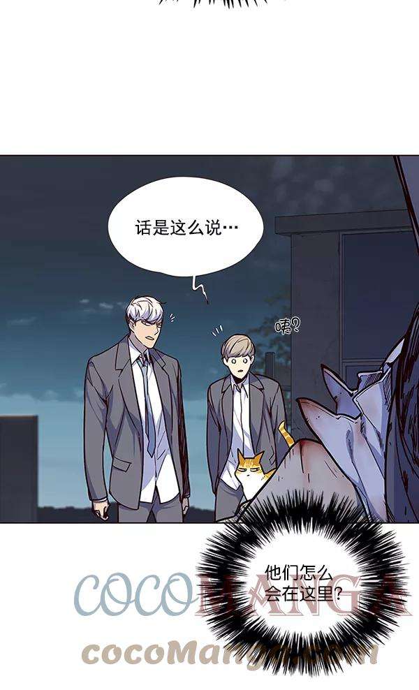 觉醒吧，铲屎官！42话