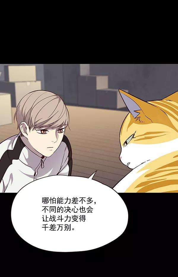 觉醒吧，铲屎官！43话