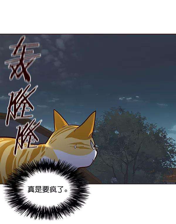 觉醒吧，铲屎官！43话