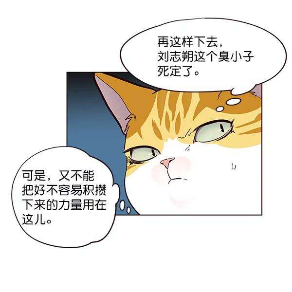 觉醒吧，铲屎官！43话