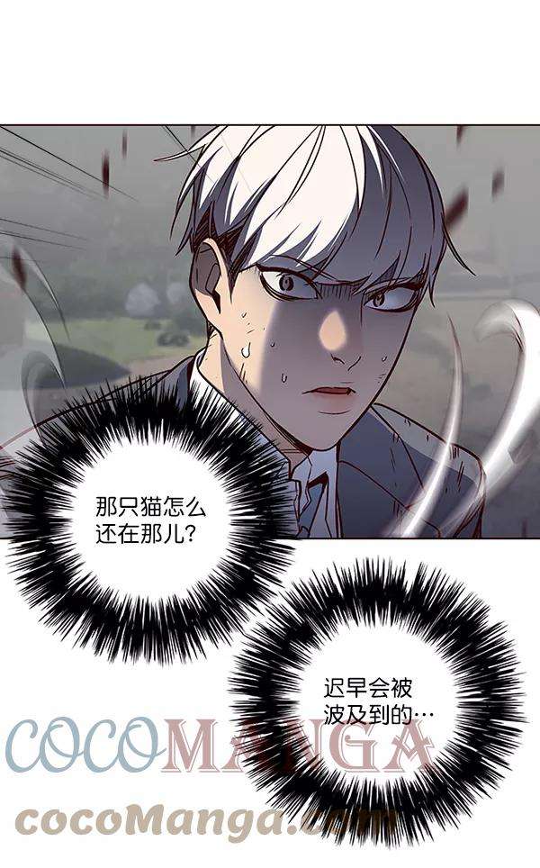 觉醒吧，铲屎官！43话
