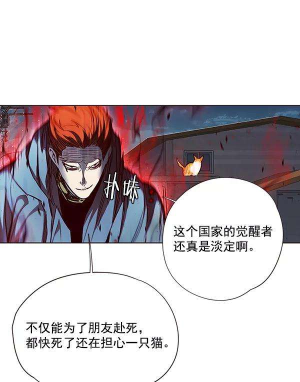 觉醒吧，铲屎官！43话