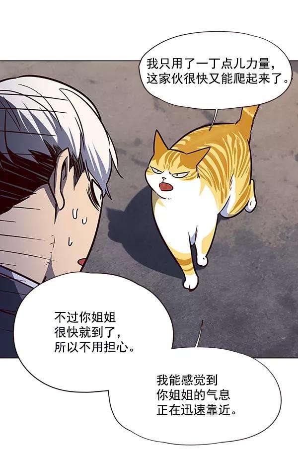 觉醒吧，铲屎官！43话